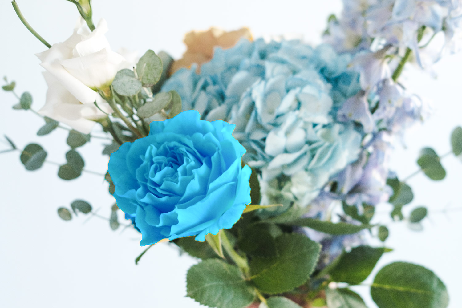 С 1 сентября! 