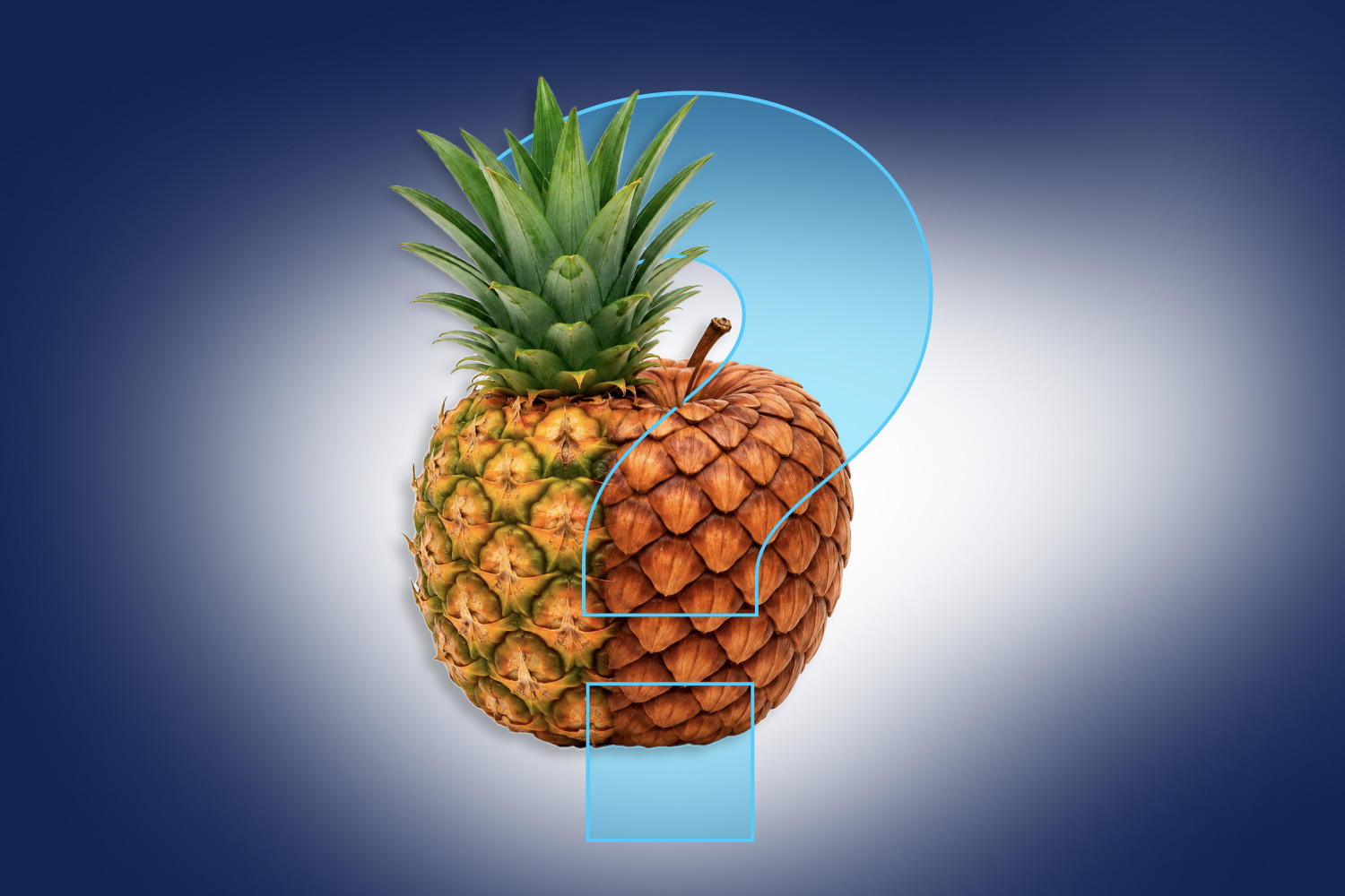 Языковой детектив: Почему pineapple — это «сосновое яблоко»?
